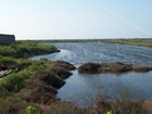 Ars en Ré - Marais du Martray