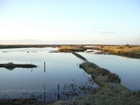 Ars en Ré - Marais du Martray