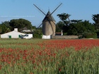 Le Moulin du Morinant (Le Bois-Plage én Ré)