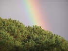 Arc-en-ciel sur l'Ile de Ré