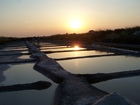 Les Marais-Salants de Loix en Ré